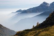 Alps